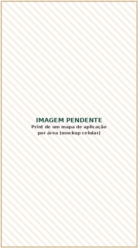 Espaço reservado para print de um mapa de aplicação